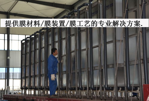 1646985427123359.jpg A02.jpg