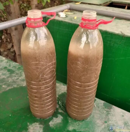 1758089135979404.png QQ20250903-085456.png